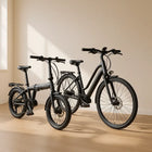 Kategorie E-Bikes – Elektrische Mobilität für Alltag, Freizeit & Gesundheit