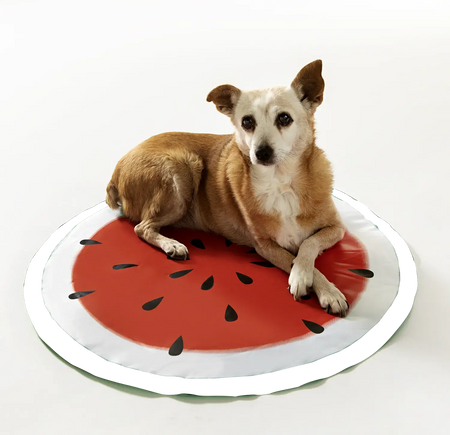 Hunde Kühlmatte Melone – Hund liegt auf runder Kühlunterlage im Wassermelonen-Design für heiße Tage