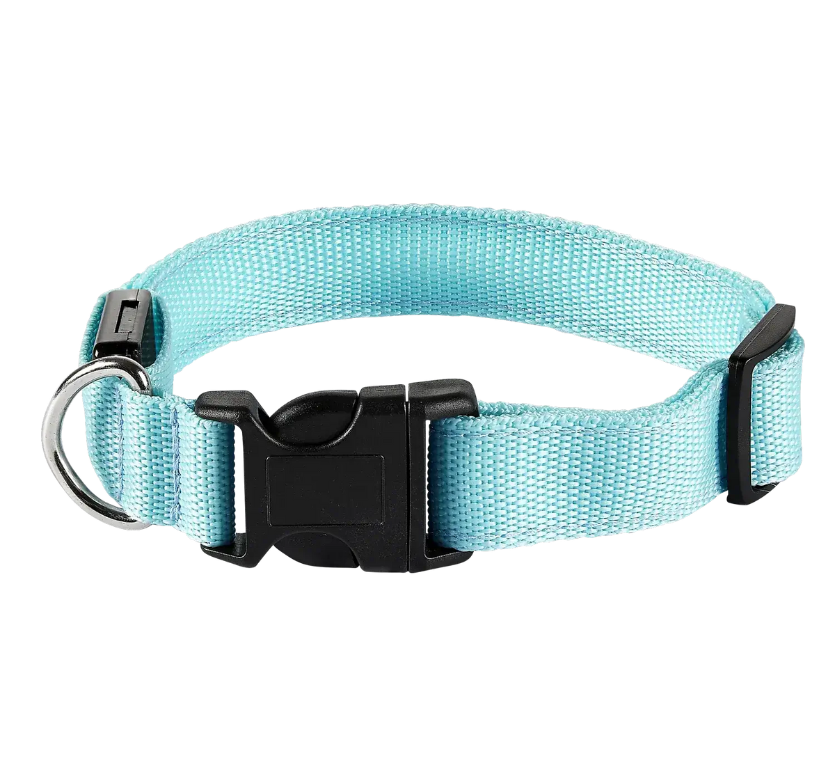 LED Hundehalsband in Hellblau mit Klickverschluss und D-Ring – leuchtendes Sicherheits-Halsband für Hunde