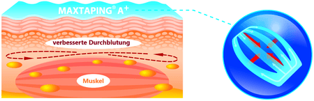 Kinesiologisches Tape Großpackung Maxtaping A+ Grafik zur verbesserten Durchblutung im Muskel, Anwendung in Praxis und Sport